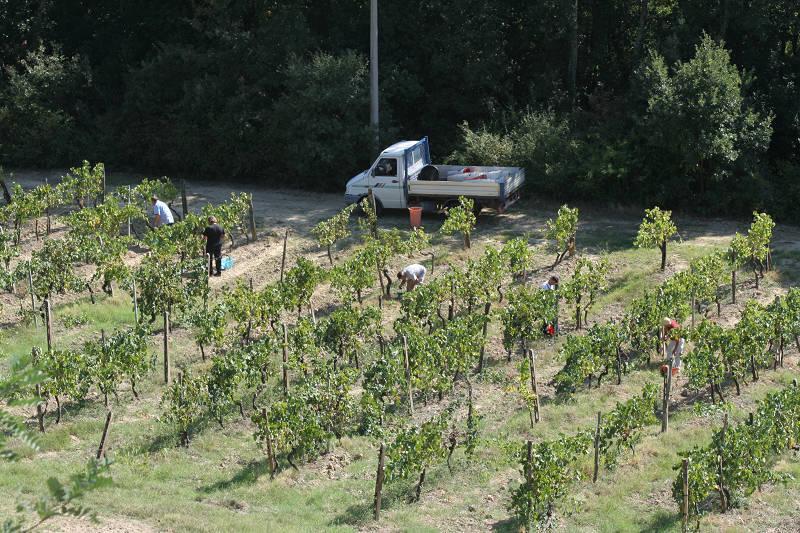 und reichlich Wein